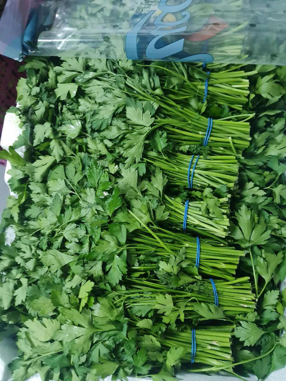 Manojos de perejil fresco ordenados en caja